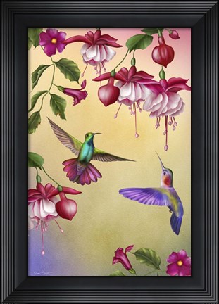 Framed Fuchsias &amp; Hummingbirds Print