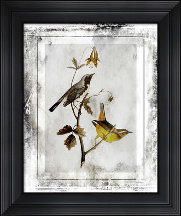 Framed Birds With Class - A Print
