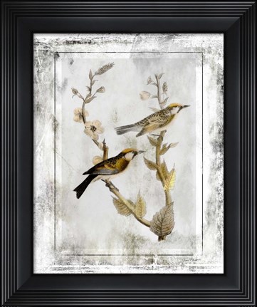 Framed Birds With Class - C Print