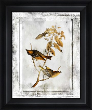 Framed Birds With Class - D Print