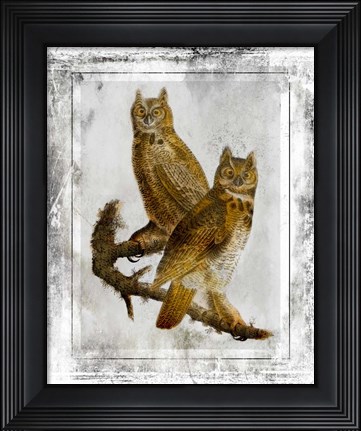 Framed Birds With Class - E Print