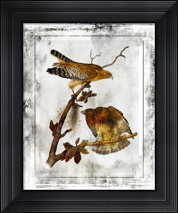 Framed Birds With Class - F Print