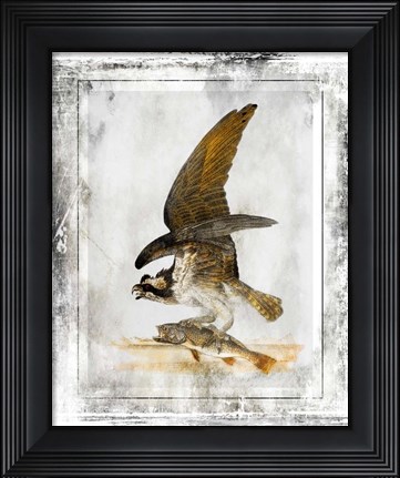Framed Birds With Class - G Print