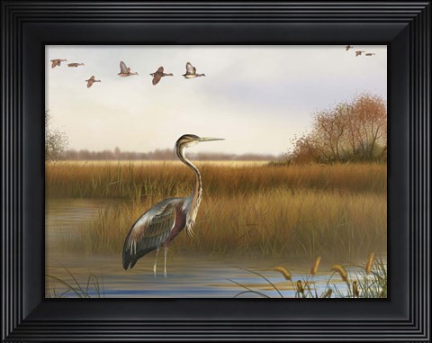 Framed Great Marsh - A Print