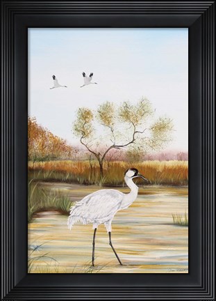 Framed Whooping Cranes - B Print