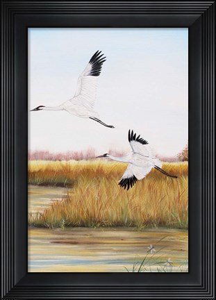 Framed Whooping Cranes - C Print