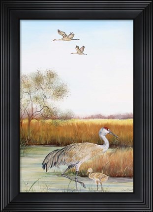 Framed Sandhill Cranes - B Print