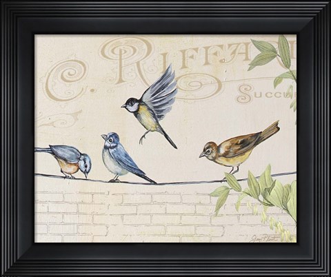 Framed Birds Gathered On Wire - Paris Wall - B Print
