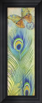 Framed Peacock Feather Souvenirs I Print