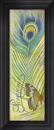 Framed Peacock Feather Souvenirs II Print