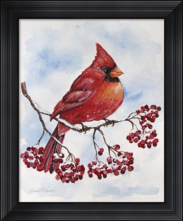 Framed Cardinal And Winter Berries - A Print