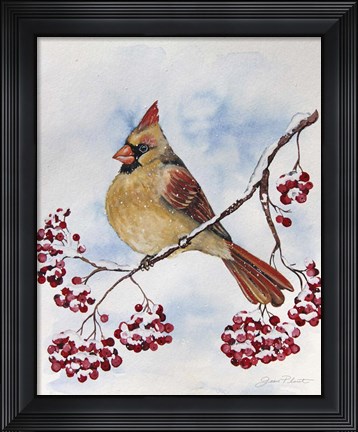 Framed Cardinal And Winter Berries - B Print