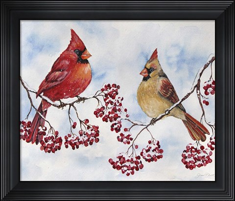 Framed Cardinal And Winter Berries - C Print
