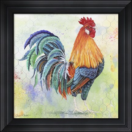 Framed Watercolor Rooster - B Print