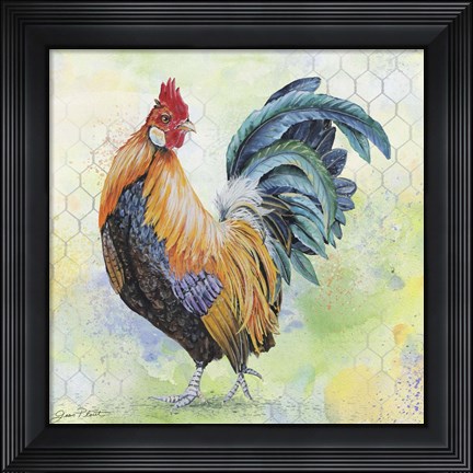 Framed Watercolor Rooster - D Print