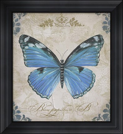 Framed Bleu Papillon - B Print