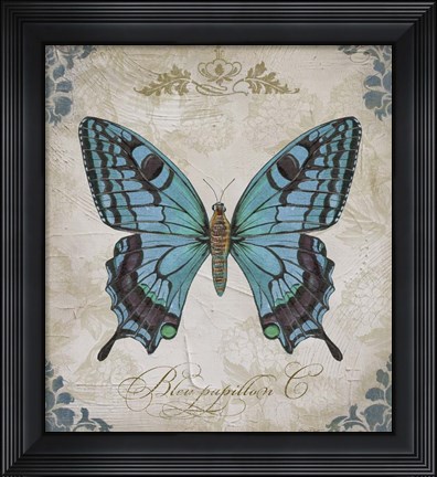 Framed Bleu Papillon - C Print
