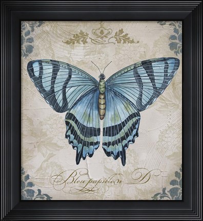 Framed Bleu Papillon - D Print