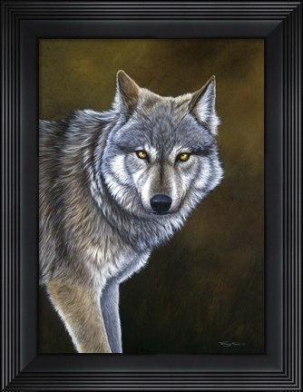 Framed In The Eyes Of The Wolf Print