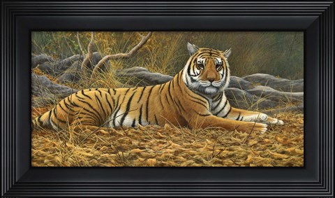 Framed Bengal Tiger Print