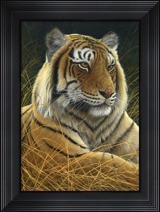 Framed Sumatran Tiger Print