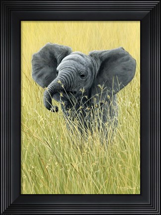 Framed Elephant In The Grass Print
