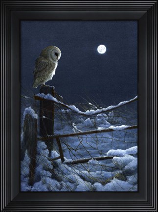Framed Silent Night Barn Owl Print