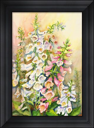 Framed Foxglove in a Garden Print