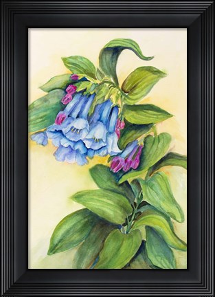 Framed Blue Bells Print