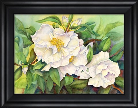 Framed Camellias Print