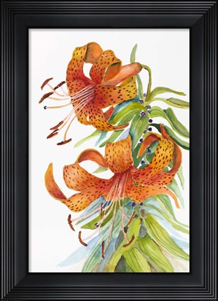 Framed Tigar Lilies Print