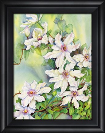 Framed White Clematis Print