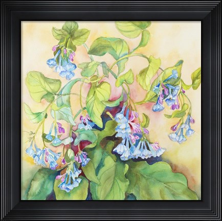 Framed Blue Bell Cluster Print