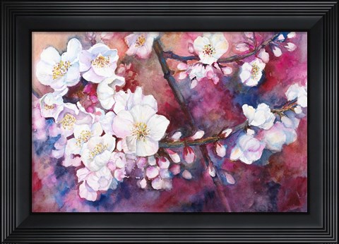 Framed Cherry Blossoms Print