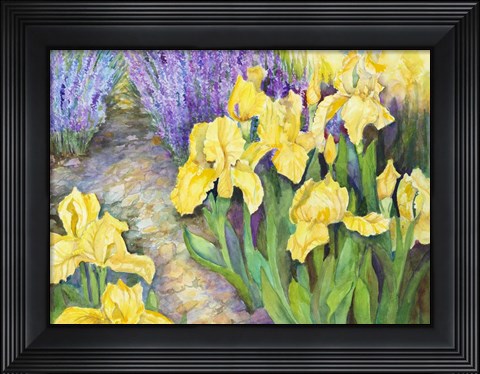 Framed Iris in a Rock Garden Print