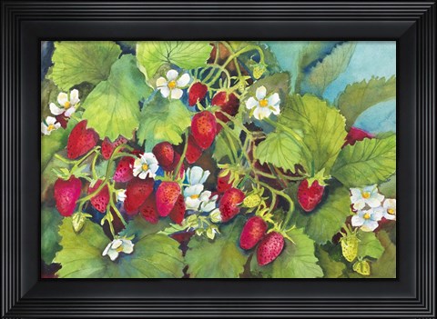 Framed Strawberry Patch - A. Ripe on the Vine Print