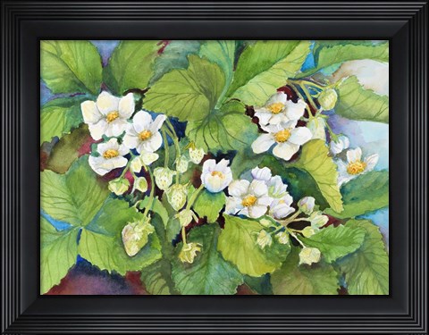 Framed Strawberry Patch - B. Flowering Print