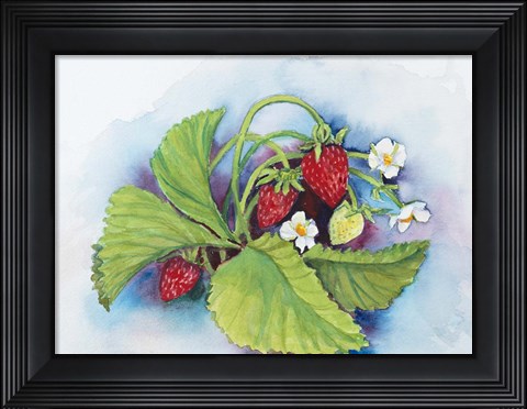 Framed Strawberry Patch - E. Sample Berries Print