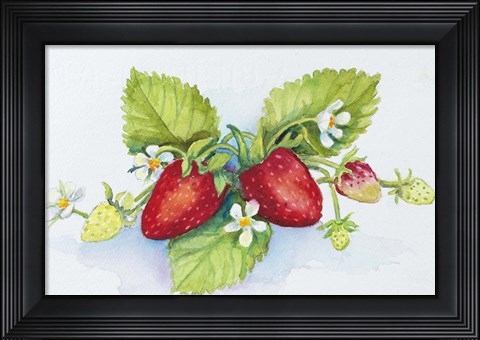 Framed Strawberry Patch - F. Berry Border Print