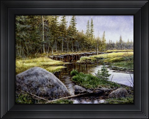 Framed Adarondack Gold Print