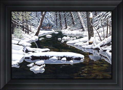 Framed Forever Wild Print