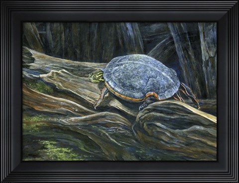 Framed Hard Top Print