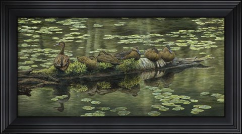 Framed In A Row Print