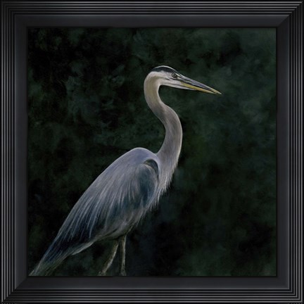 Framed Night Stalker Print