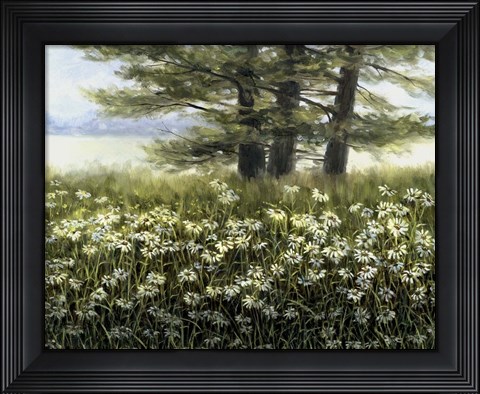 Framed River Daiseys Print