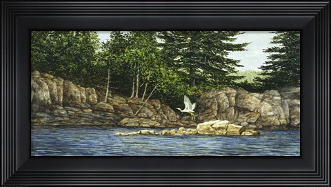 Framed River Flight Print