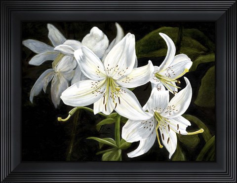 Framed Sara White Print