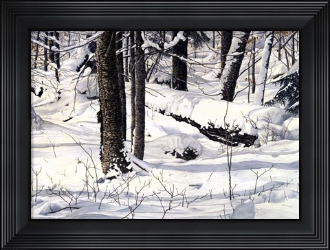 Framed Symphony of Light Print