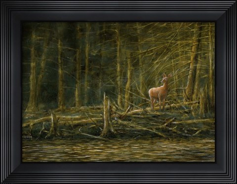 Framed First Light Print