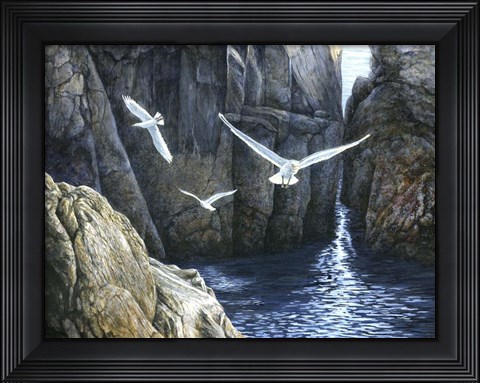 Framed Gulls of Puplit Rock Print